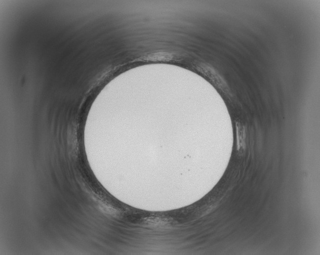 X0000082150300200702162215