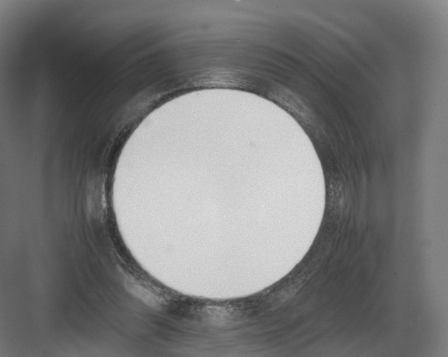 X0000082150302200702162215