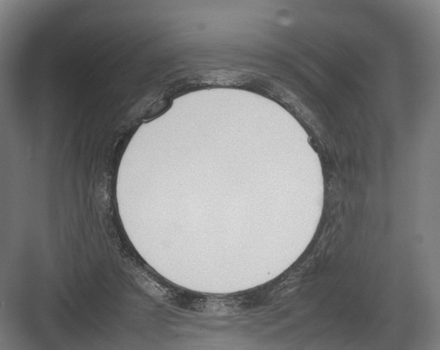 X0000082150305200702162215