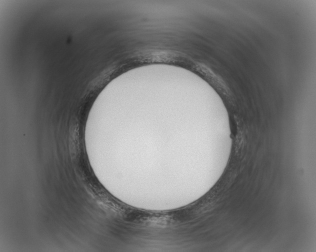 X0000082150306200702162215