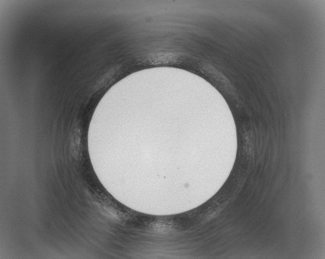 X0000082150308200702162215