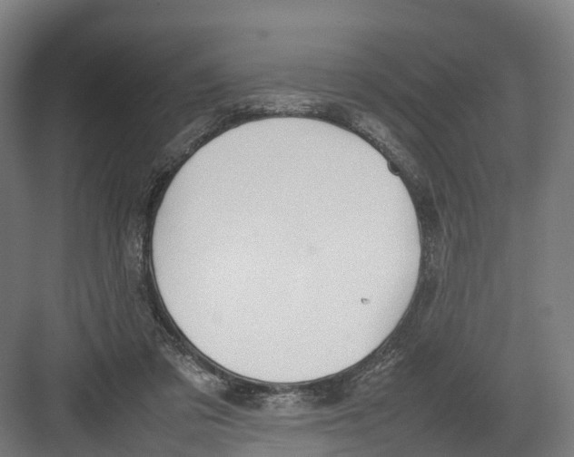 X0000082150309200702162215