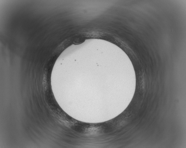 X0000082150312200702162215