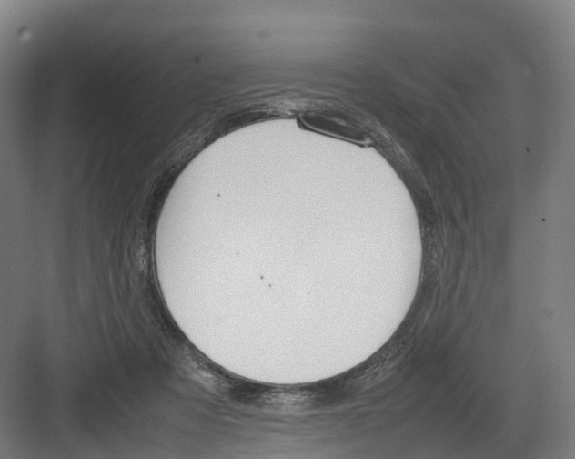 X0000082150313200702162215