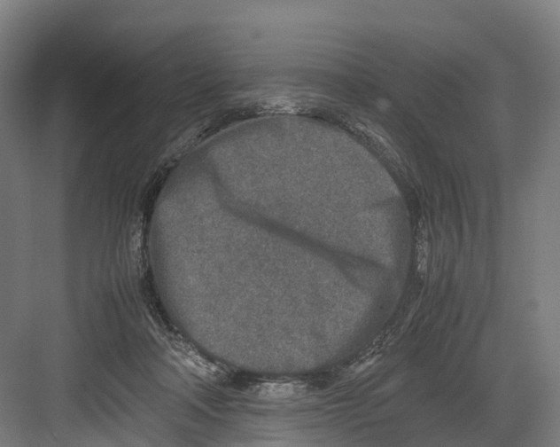 X0000082150314200702162215