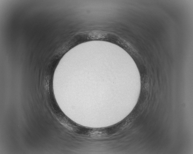 X0000082150315200702162215