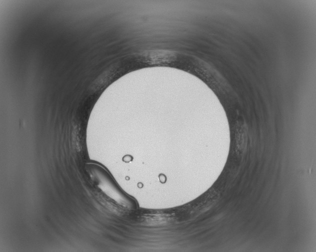 X0000082150316200702162215