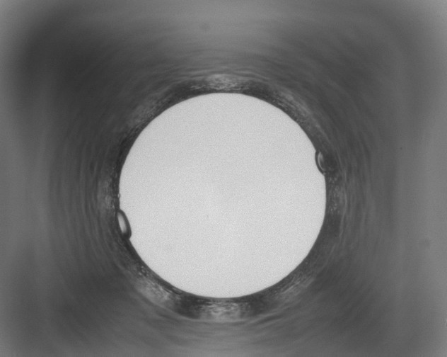 X0000082150317200702162215