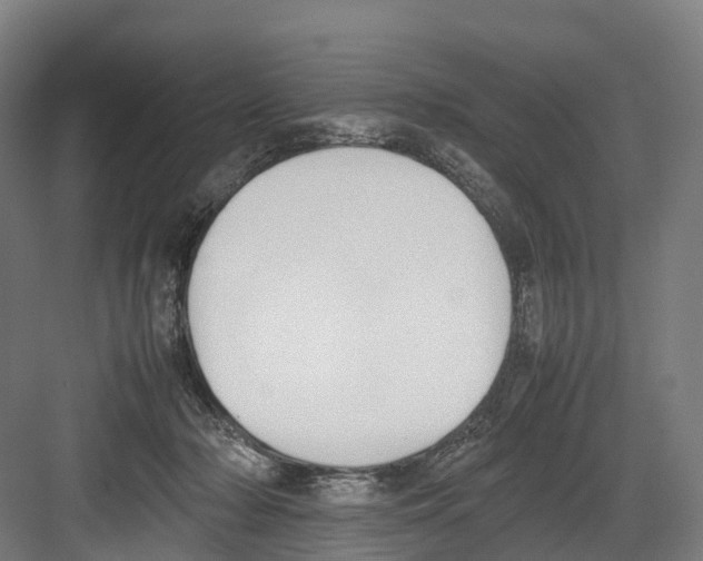 X0000082150318200702162215