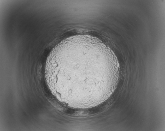 X0000082150319200702162215