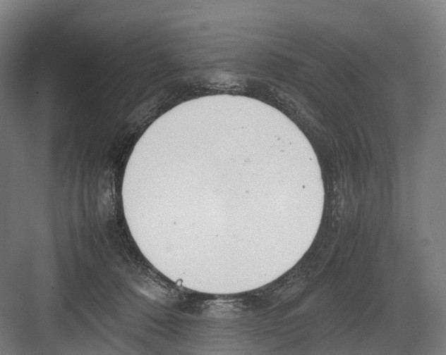 X0000082150320200702162215