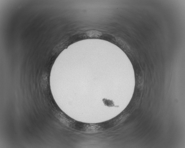 X0000082150321200702162215