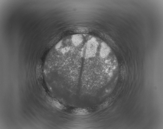 X0000082150322200702162215