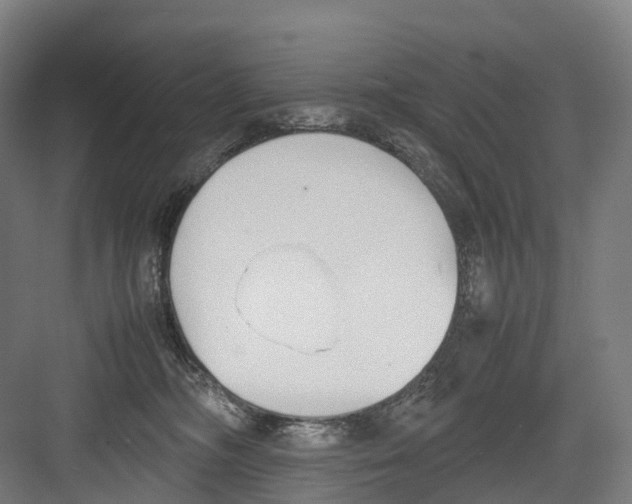 X0000082150326200702162215