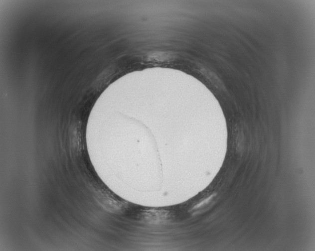 X0000082150328200702162215