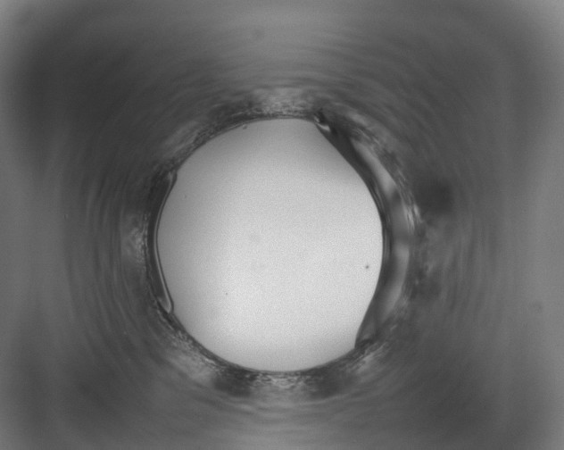 X0000082150329200702162215