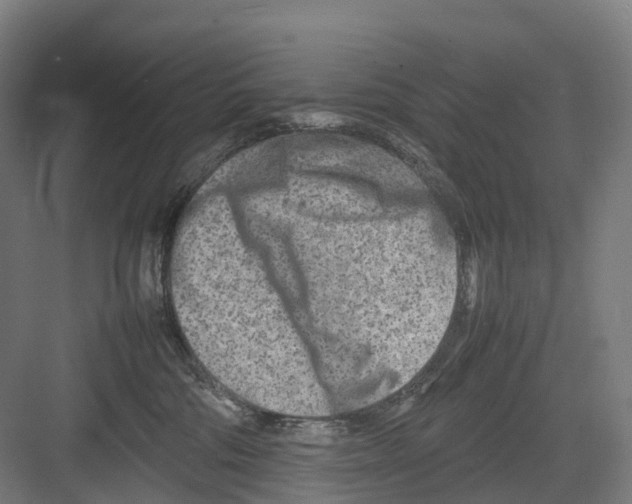 X0000082150330200702162215