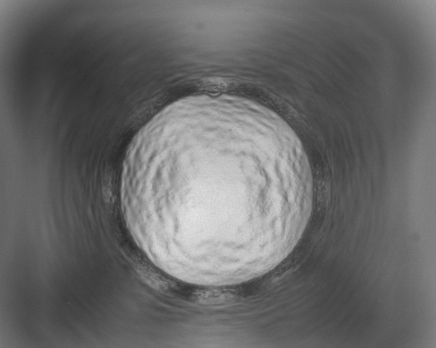 X0000082150331200702162215