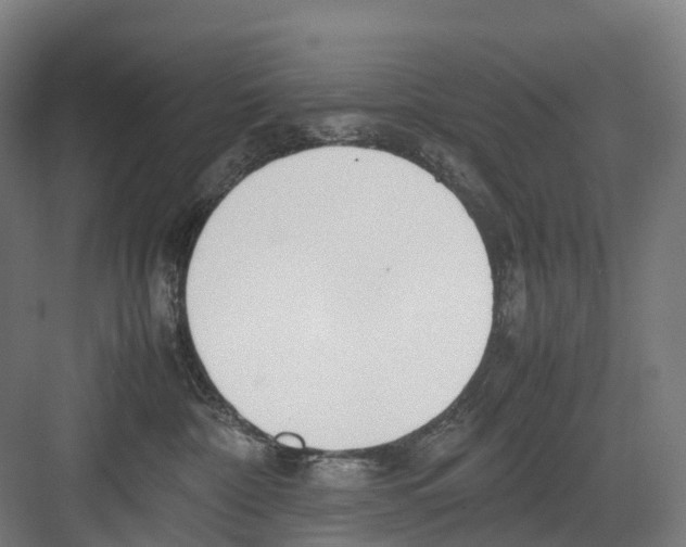 X0000082150332200702162215