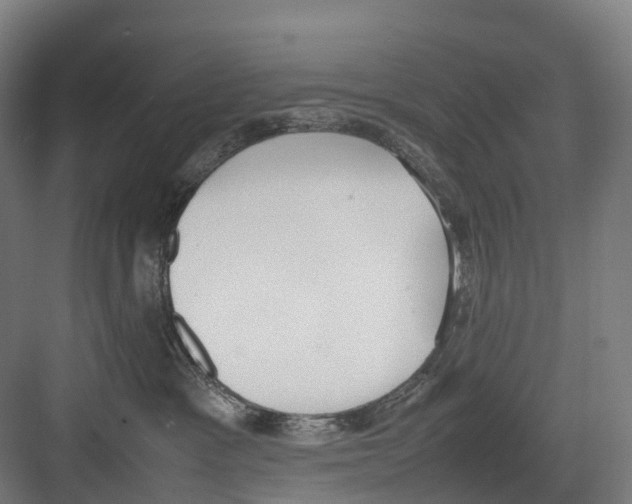 X0000082150333200702162215