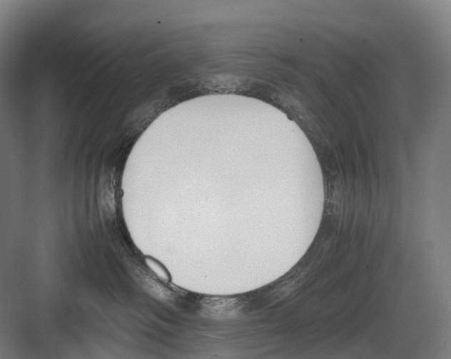 X0000082150334200702162215