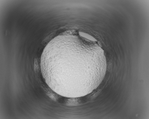 X0000082150335200702162215