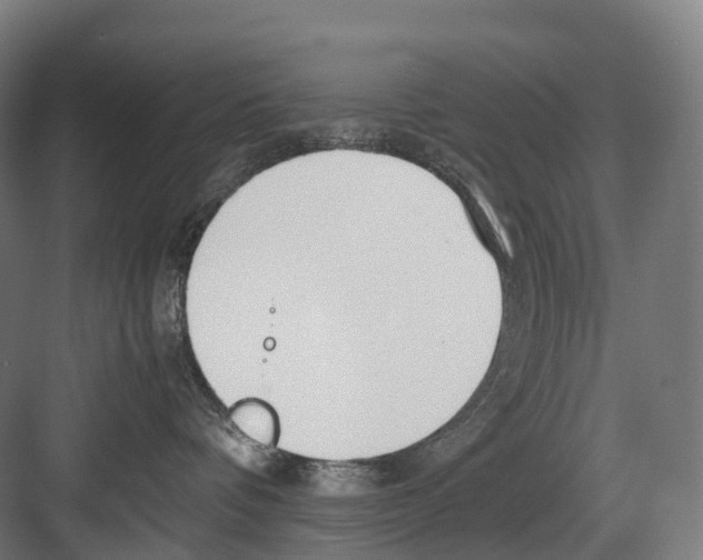 X0000082150336200702162215