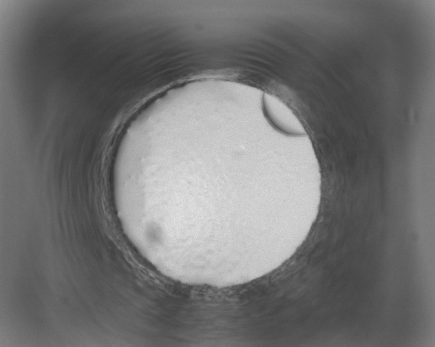 X0000082150337200702162214