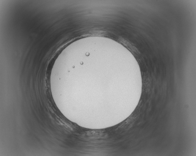 X0000082150338200702162214