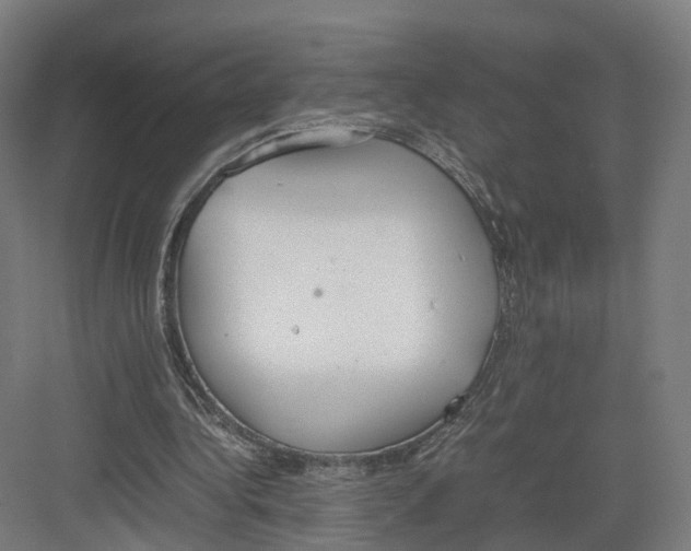 X0000082150340200702162214