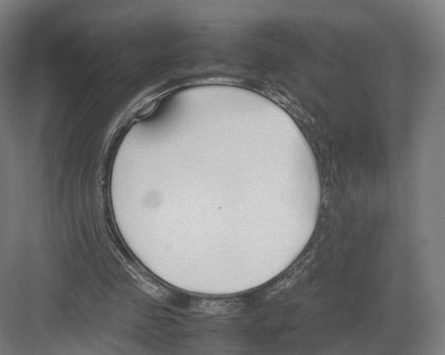 X0000082150341200702162214