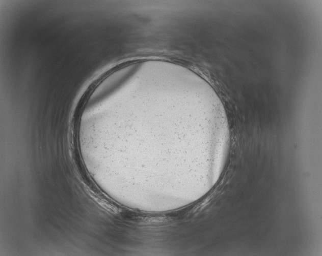 X0000082150342200702162214