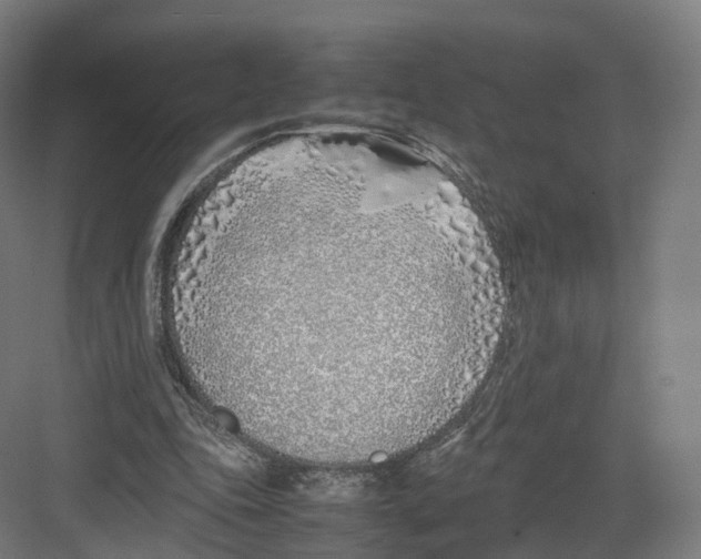 X0000082150343200702162214