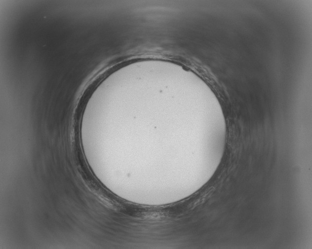 X0000082150344200702162214