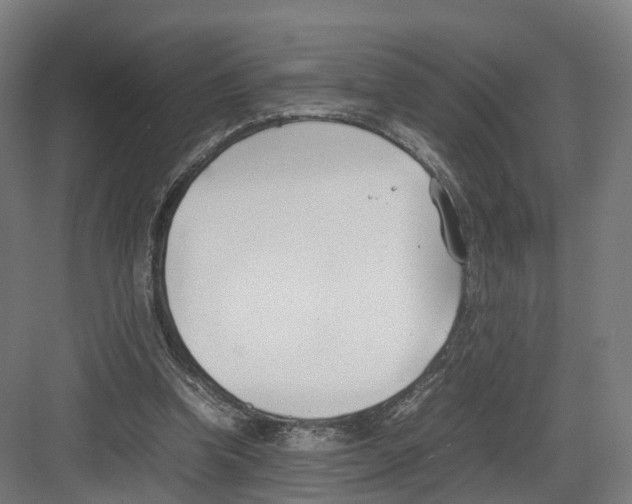 X0000082150346200702162214