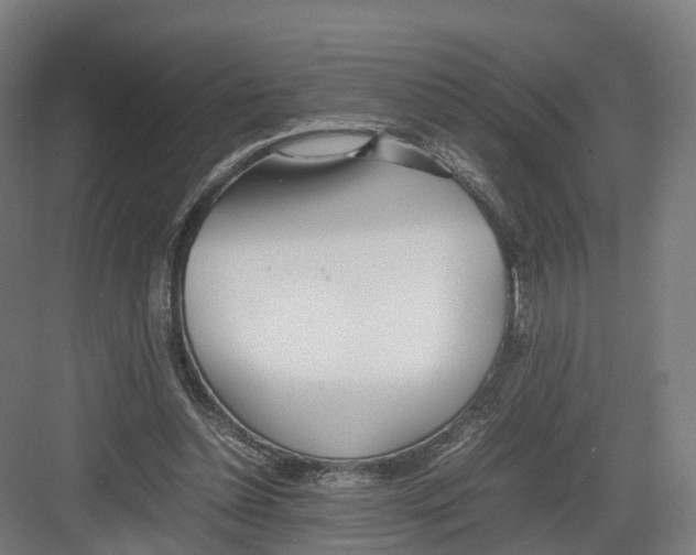 X0000082150348200702162214