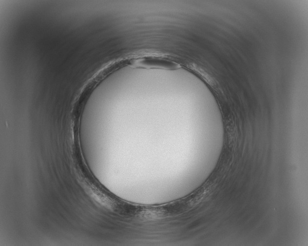 X0000082150350200702162214