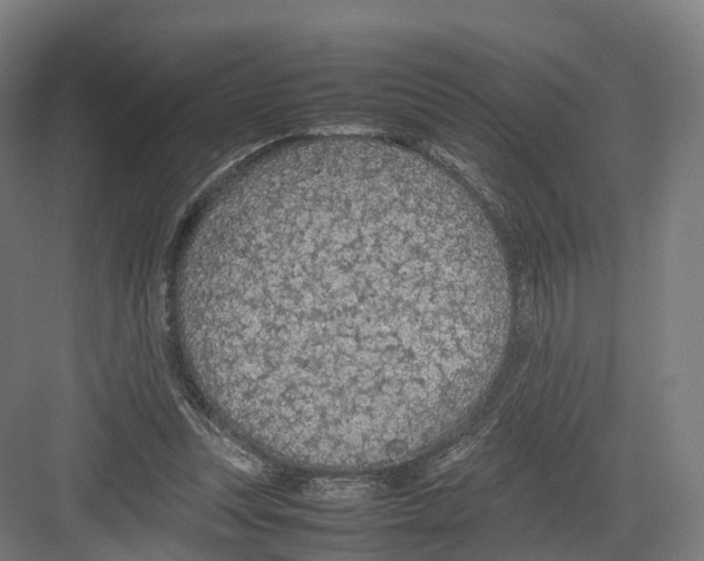 X0000082150351200702162214