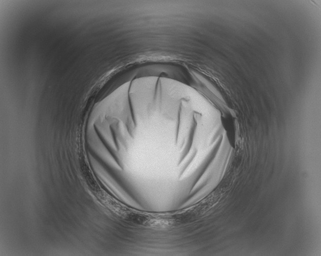 X0000082150352200702162214