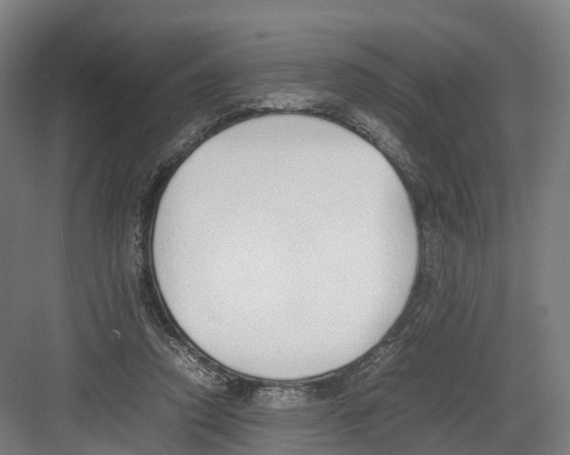 X0000082150354200702162214