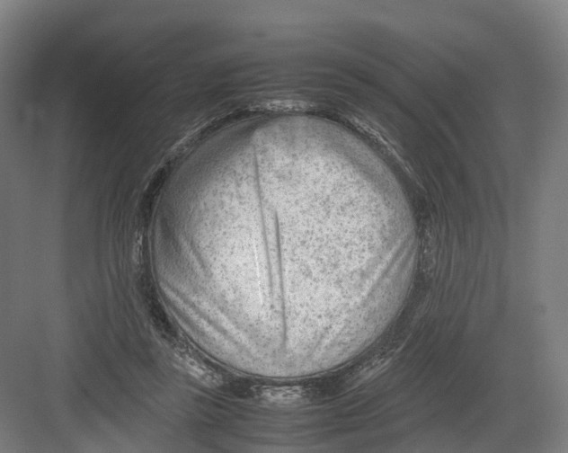 X0000082150355200702162214