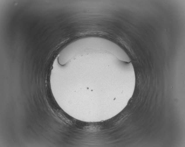 X0000082150356200702162214