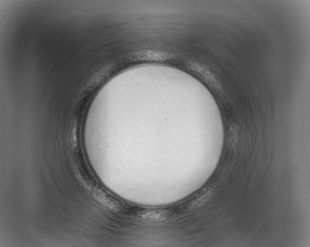 X0000082150358200702162214