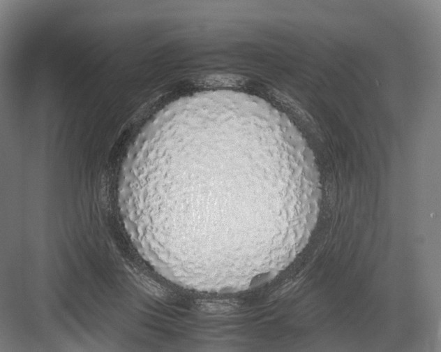 X0000082150359200702162214