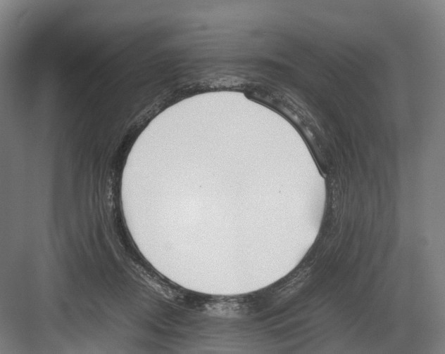 X0000082150362200702162214