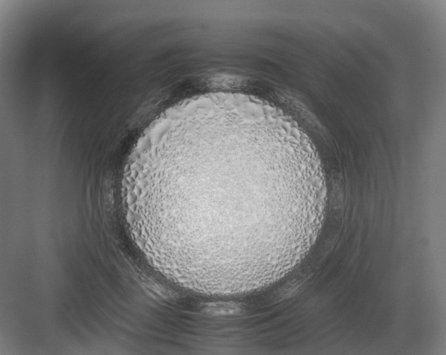 X0000082150363200702162214