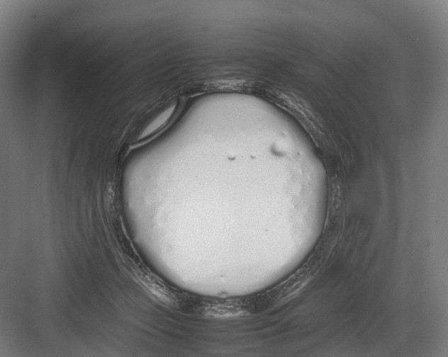 X0000082150365200702162215