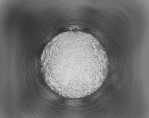 X0000082150367200702162215