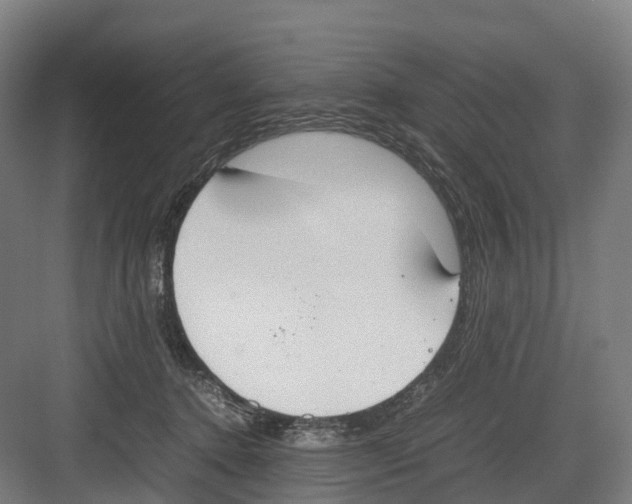 X0000082150368200702162215