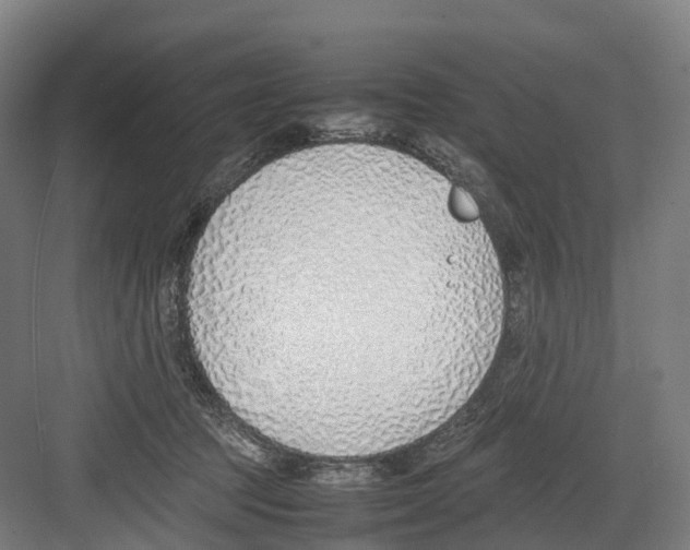 X0000082150369200702162215